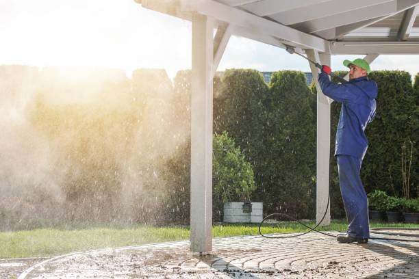 Reliable Roxana, IL Pressure Washing Services Solutions
